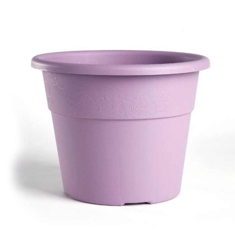 hedera_lavanda_2